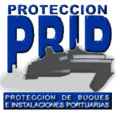 pbip-dpp